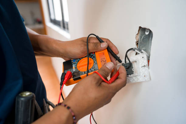 Best Electric Panel Repair  in Hackleburg, AL